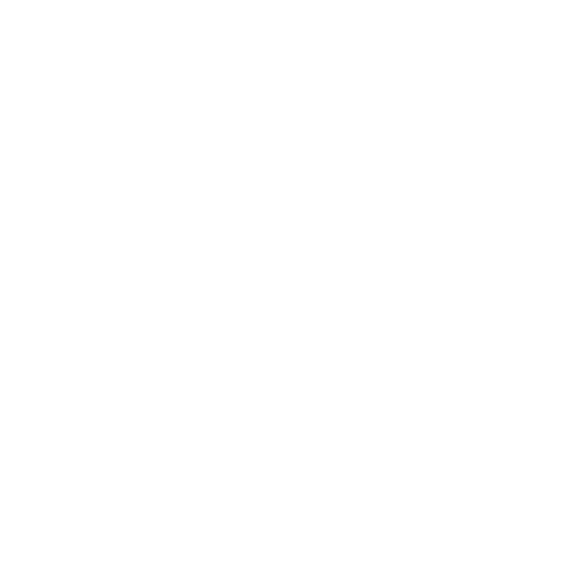 Professional Services